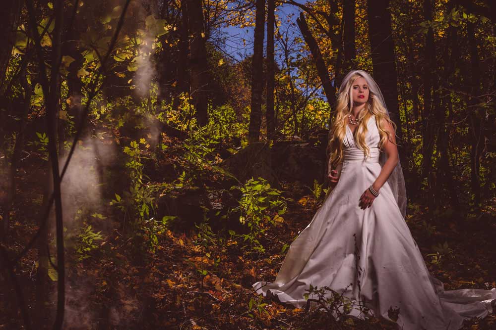 modern bridal  portraits in asheville  north carolina 